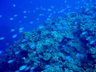 8月21日　秦川流れ.jpg